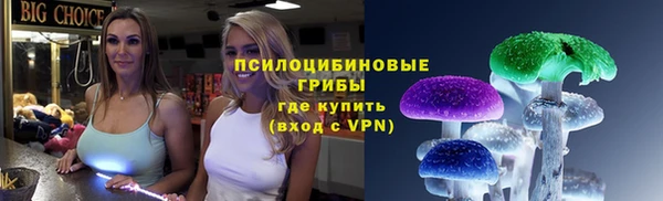 spice Алексин