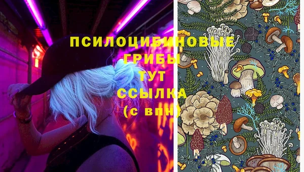 spice Алексин