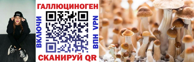 Галлюциногенные грибы MAGIC MUSHROOMS  где можно купить   Алексеевка 